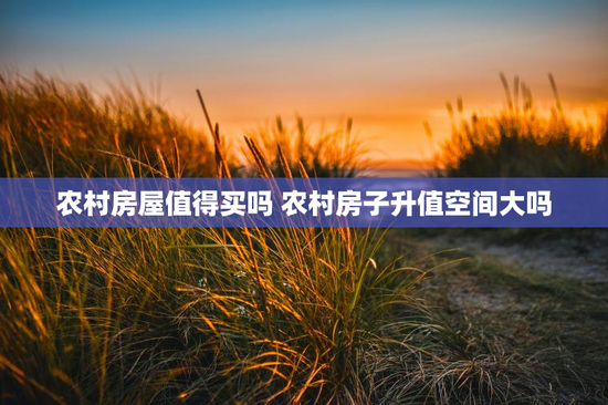农村房屋值得买吗 农村房子升值空间大吗