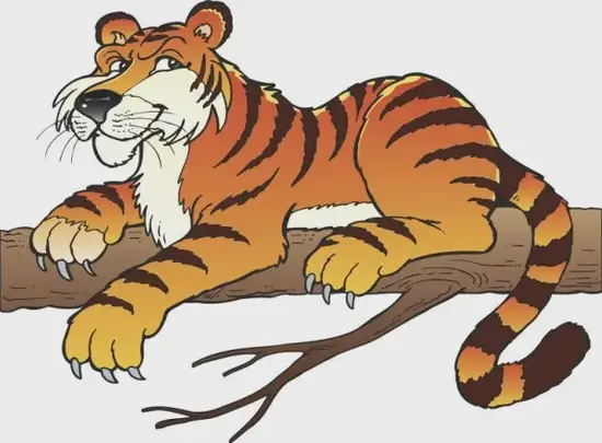 生肖虎财神方位