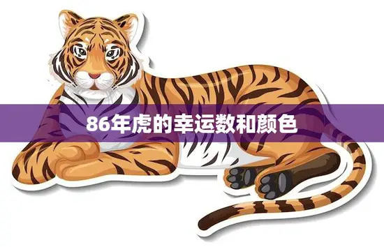 86年虎的幸运数和颜色(揭秘幸运数字与吉祥色彩)