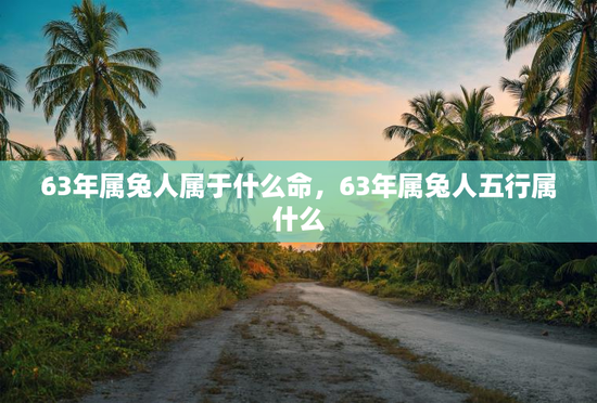 63年属兔人属于什么命，63年属兔人五行属什么