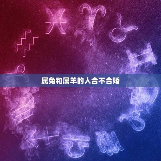属兔和属羊的人合不合婚(星座配对指南)