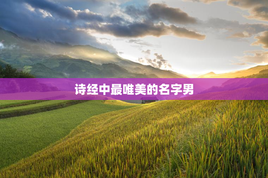 诗经中最唯美的名字男