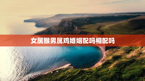 女属猴男属鸡婚姻配吗相配吗，女属猴男属鸡婚姻状况