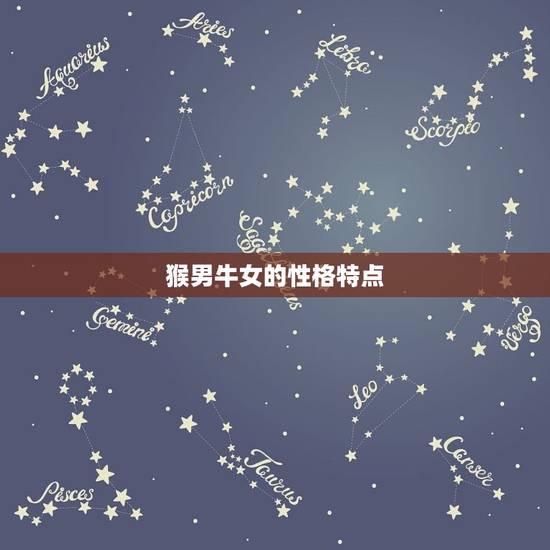猴男牛女的性格特点