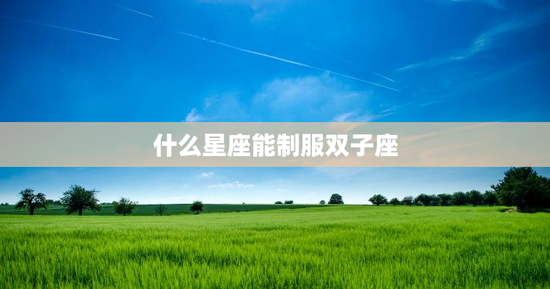 什么星座能制服双子座