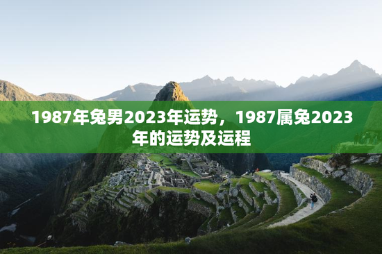 1987年兔男2023年运势，1987属兔2023年的运势及运程