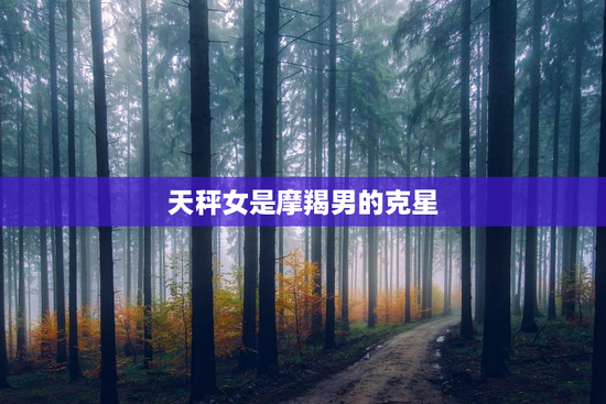 天秤女是摩羯男的克星