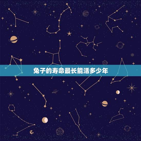 兔子的寿命最长能活多少年(了解兔子的寿命和健康养护)