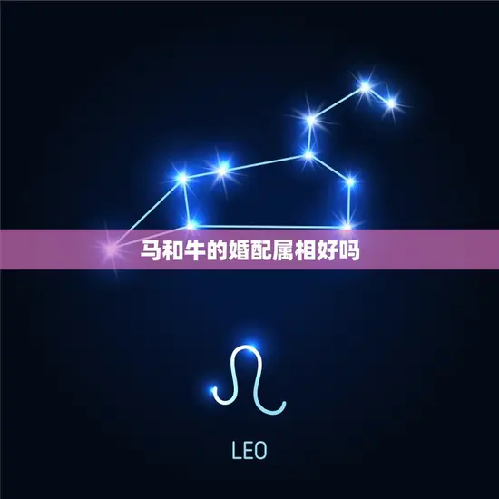 马和牛的婚配属相好吗