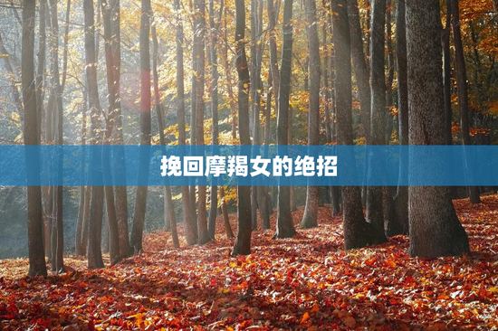 挽回摩羯女的绝招