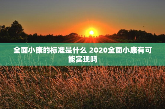 全面小康的标准是什么 2020全面小康有可能实现吗