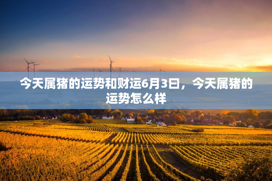 今天属猪的运势和财运6月3曰，今天属猪的运势怎么样