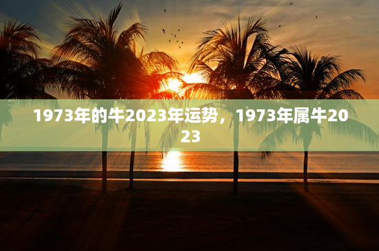1973年的牛2023年运势，1973年属牛2023