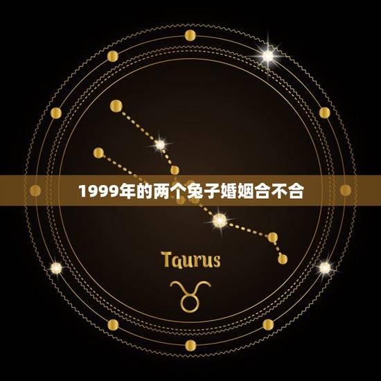 1999年的两个兔子婚姻合不合(讨论生肖婚配的)