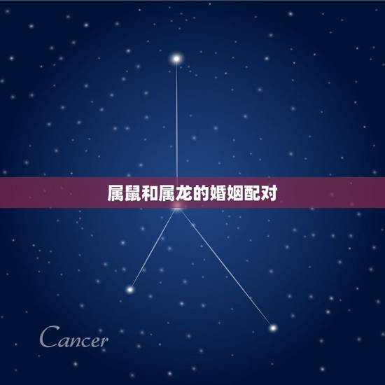 属鼠和属龙的婚姻配对