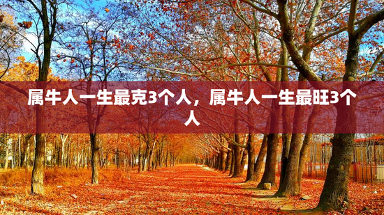 属牛人一生最克3个人，属牛人一生最旺3个人