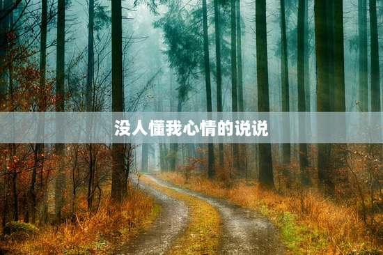 没人懂我心情的说说