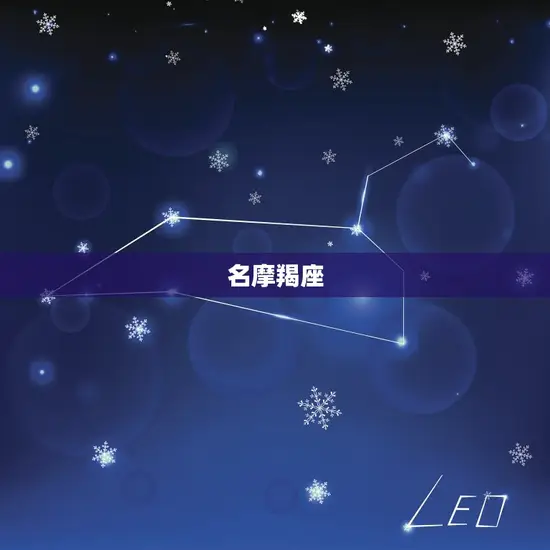 名摩羯座