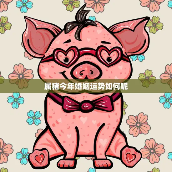 属猪今年婚姻运势如何呢(解析2023年猪年婚姻运势大揭秘)
