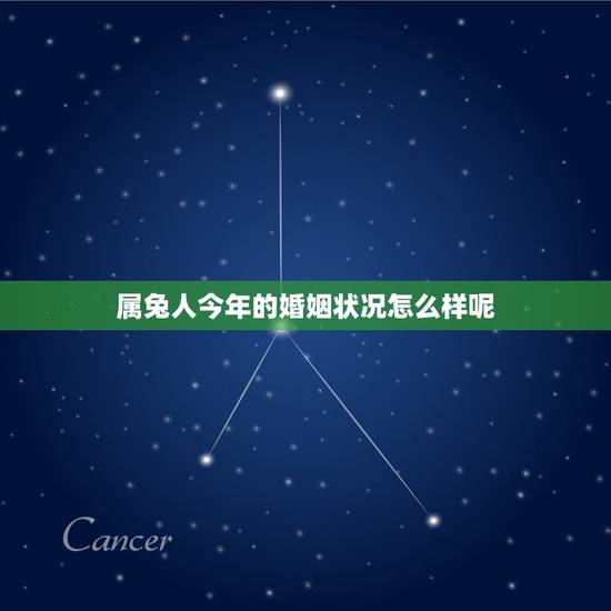 属兔人今年的婚姻状况怎么样呢(2023年属兔人的爱情运势)