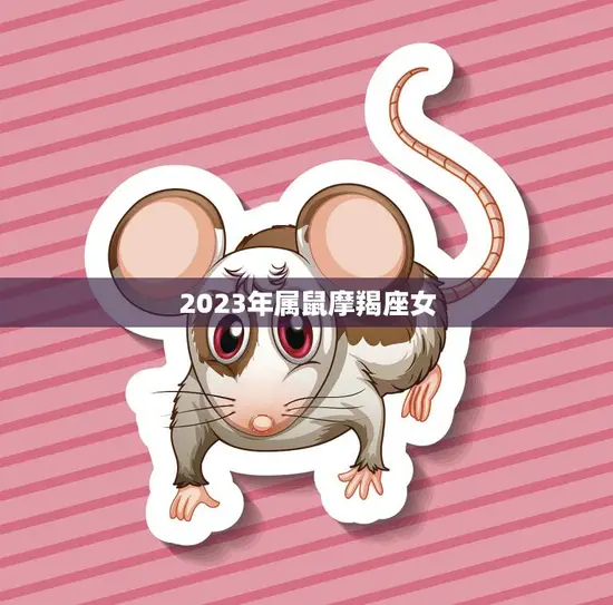 2023年属鼠摩羯座女(未来的成功之路)