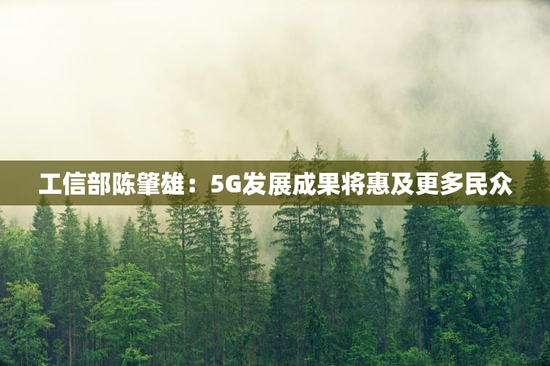 工信部陈肇雄：5G发展成果将惠及更多民众