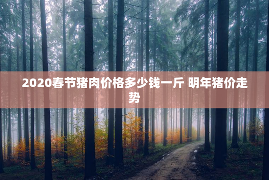 2020春节猪肉价格多少钱一斤 明年猪价走势