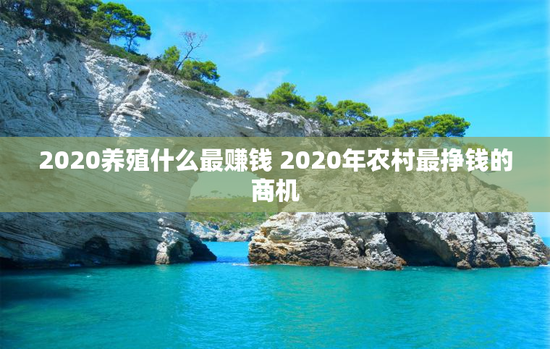 2020养殖什么最赚钱 2020年农村最挣钱的商机