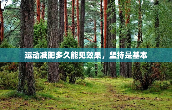 运动减肥多久能见效果，坚持是基本
