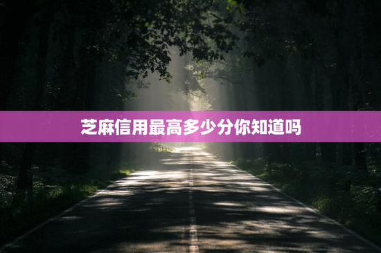 芝麻信用最高多少分你知道吗