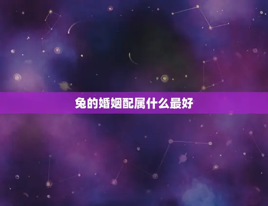 兔的婚姻配属什么最好