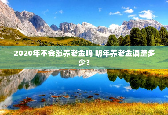 2020年不会涨养老金吗 明年养老金调整多少？