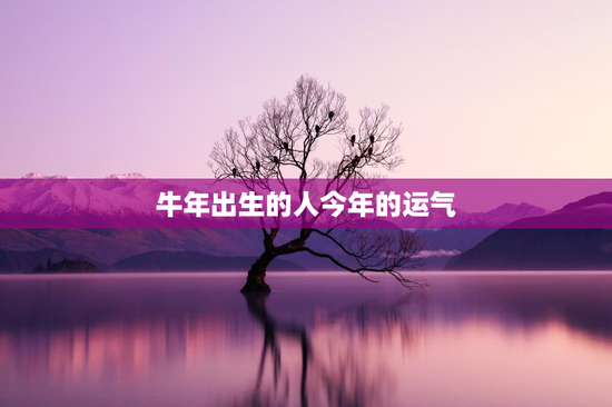 牛年出生的人今年的运气，1985属牛女的必经三大坎