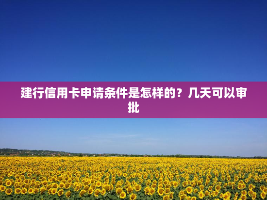 建行信用卡申请条件是怎样的？几天可以审批