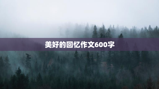 美好的回忆作文600字