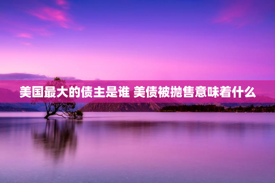 美国最大的债主是谁 美债被抛售意味着什么