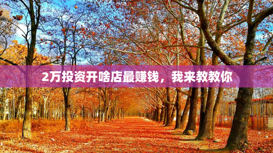 2万投资开啥店最赚钱，我来教教你
