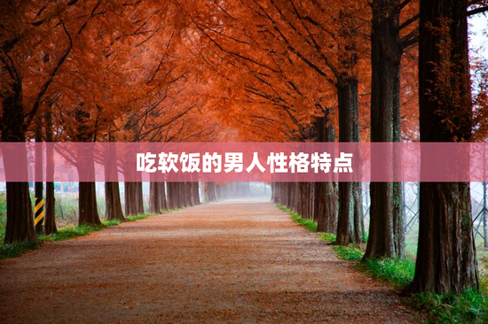 吃软饭的男人性格特点