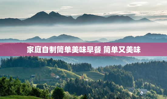 家庭自制简单美味早餐 简单又美味