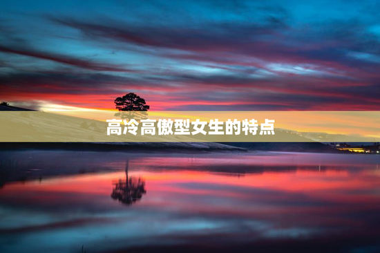 高冷高傲型女生的特点