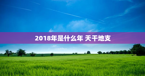 2018年是什么年 天干地支