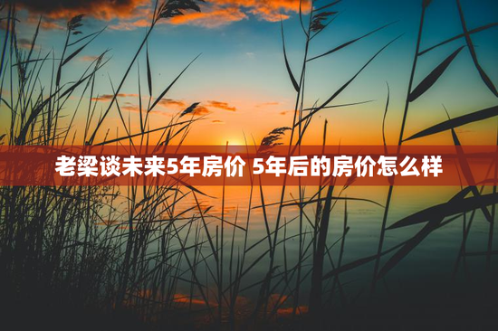 老梁谈未来5年房价 5年后的房价怎么样