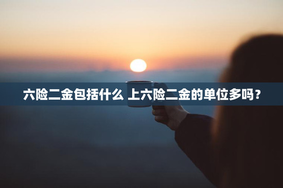 六险二金包括什么 上六险二金的单位多吗？