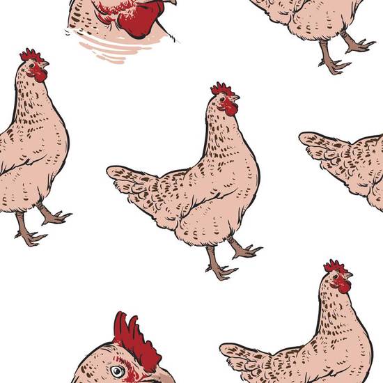 94年属鸡的姻缘(何时才能如愿)