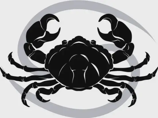 吸引金牛座的性格特征