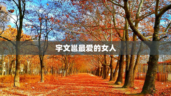 宇文邕最爱的女人