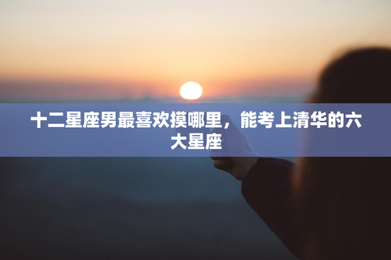十二星座男最喜欢摸哪里，能考上清华的六大星座