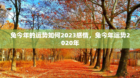 兔今年的运势如何2023感情，兔今年运势2020年