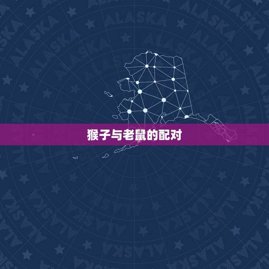 猴子与老鼠的配对