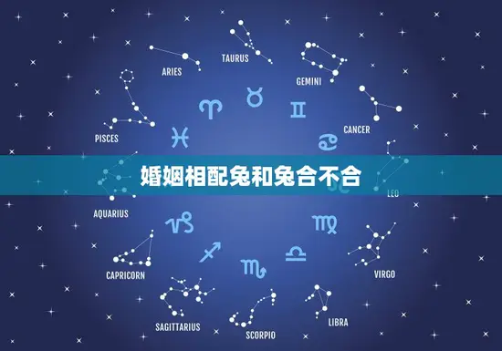 婚姻相配兔和兔合不合